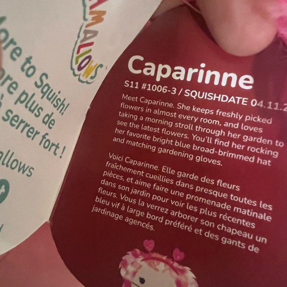 💕Caparinne valentines 11” squishmallow - Picture 4 of 4